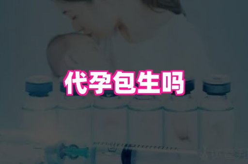 香港助孕网 1