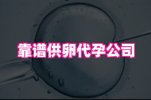 香港助孕网 2