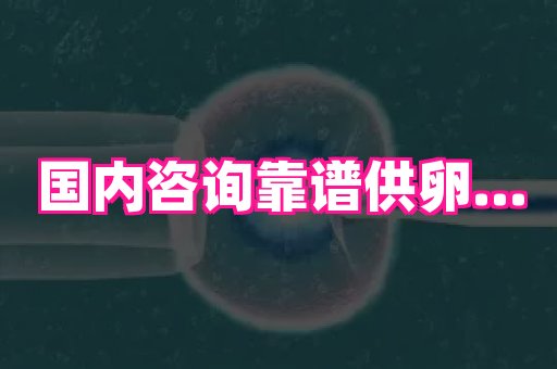 香港助孕网 3